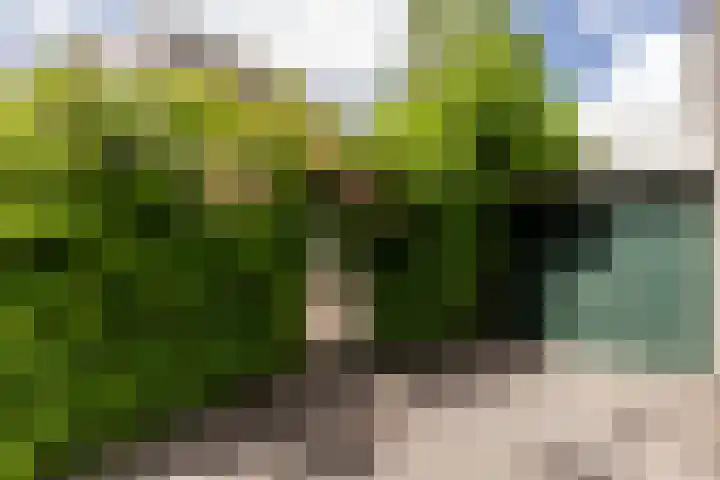 Burg. Den Oudenstraat 2 Haaren thumbnail 40