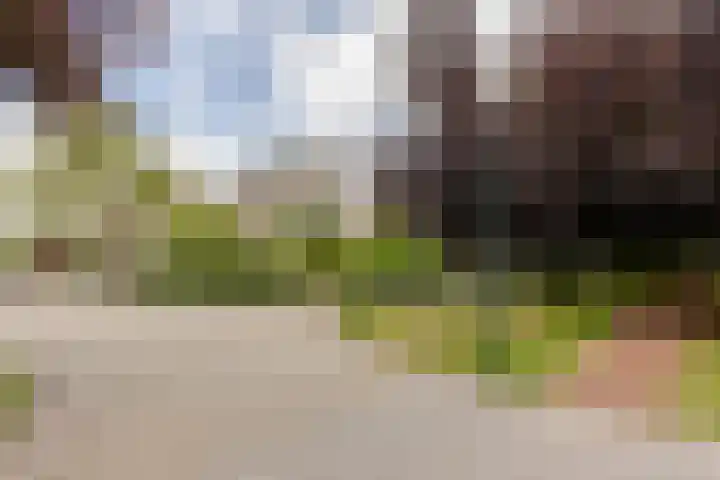 Burg. Den Oudenstraat 2 Haaren thumbnail 43