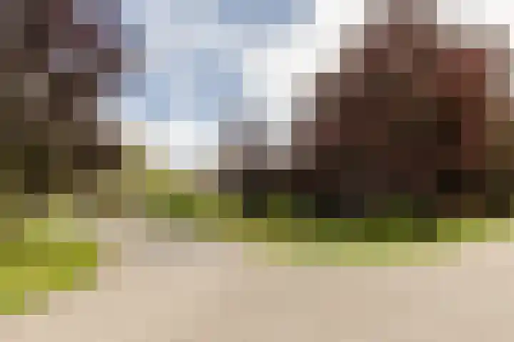 Burg. Den Oudenstraat 2 Haaren thumbnail 46