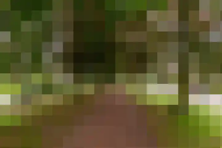 Burg. Den Oudenstraat 2 Haaren thumbnail 47