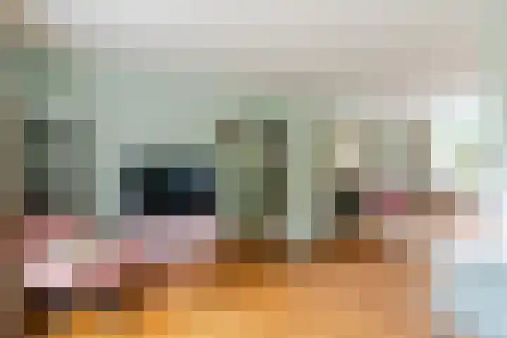 Burg. Den Oudenstraat 2 Haaren thumbnail 5