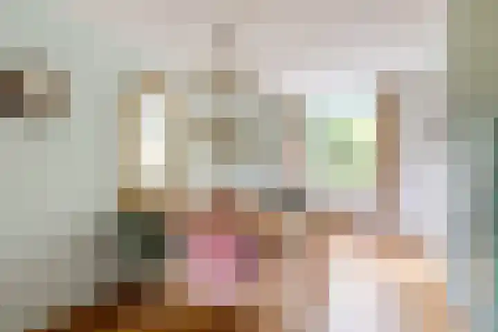 Burg. Den Oudenstraat 2 Haaren thumbnail 6