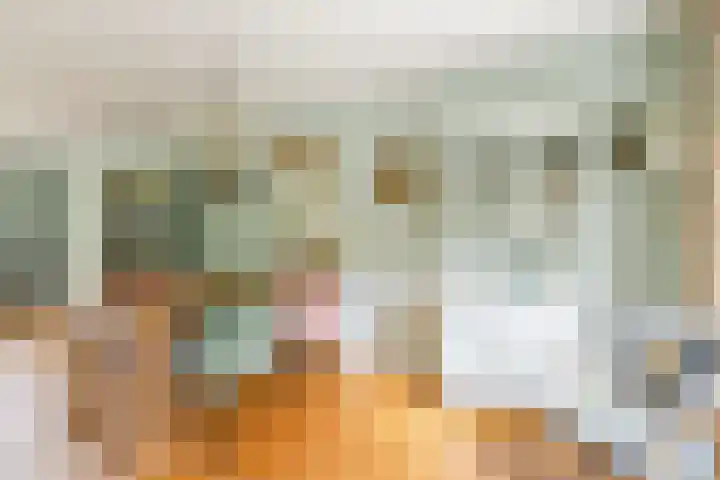 Burg. Den Oudenstraat 2 Haaren thumbnail 7