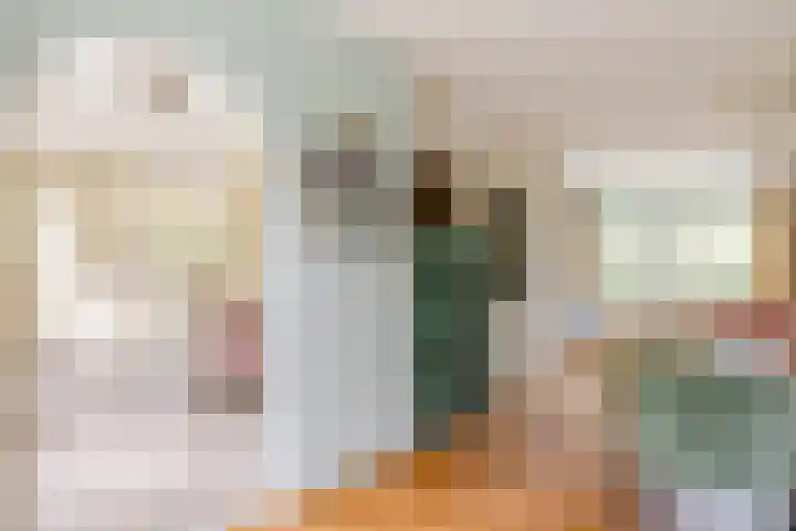 Burg. Den Oudenstraat 2 Haaren thumbnail 8