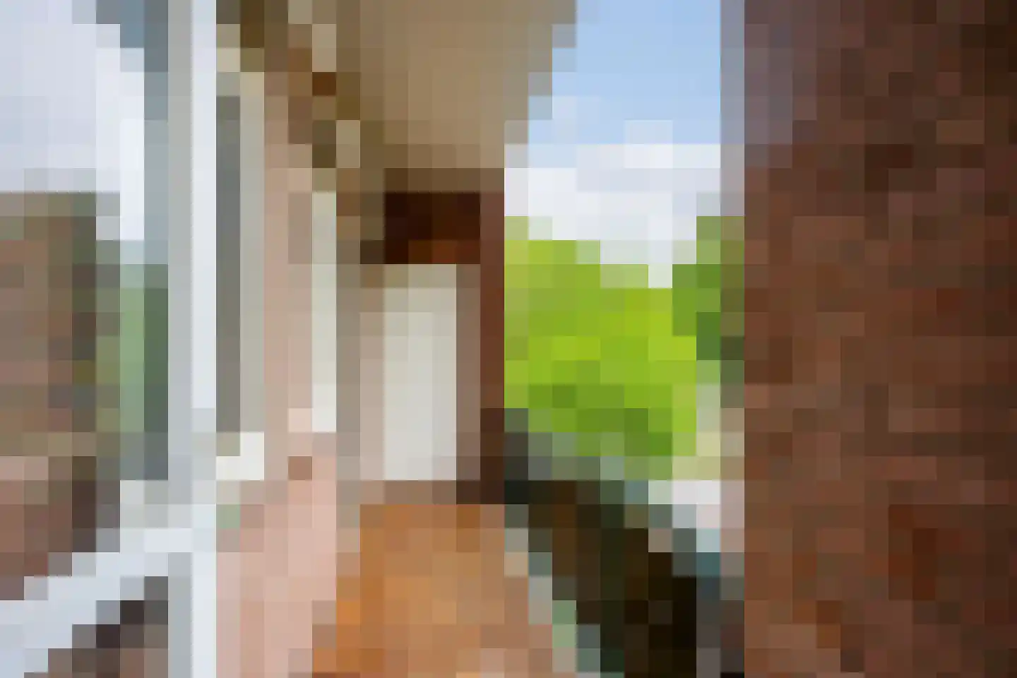Burg. Dijckmeesterweg 18 Zutphen thumbnail 20