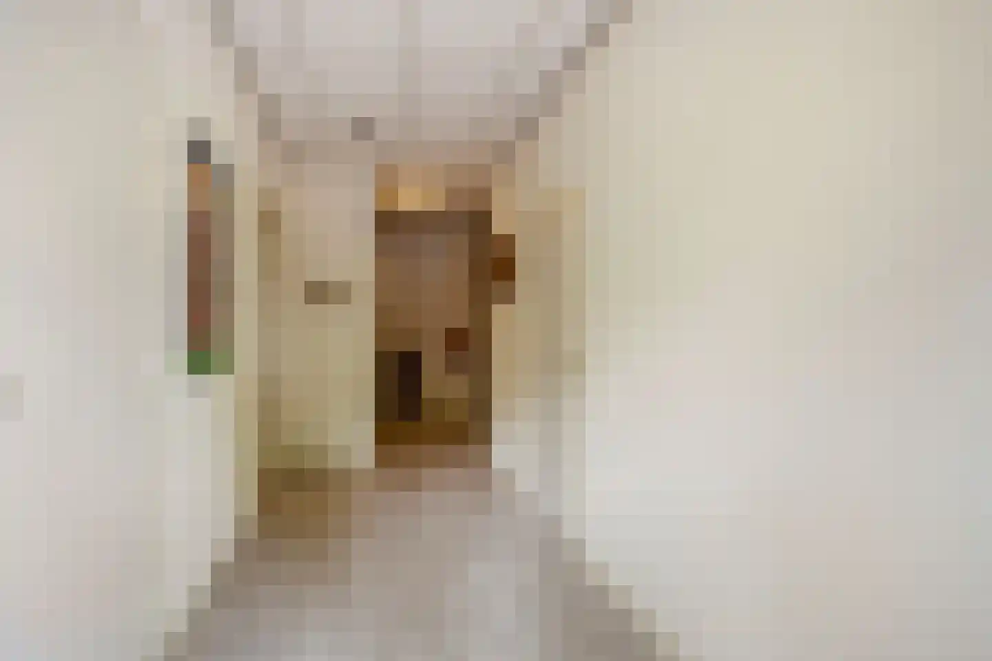 Burg. Dijckmeesterweg 18 Zutphen thumbnail 6