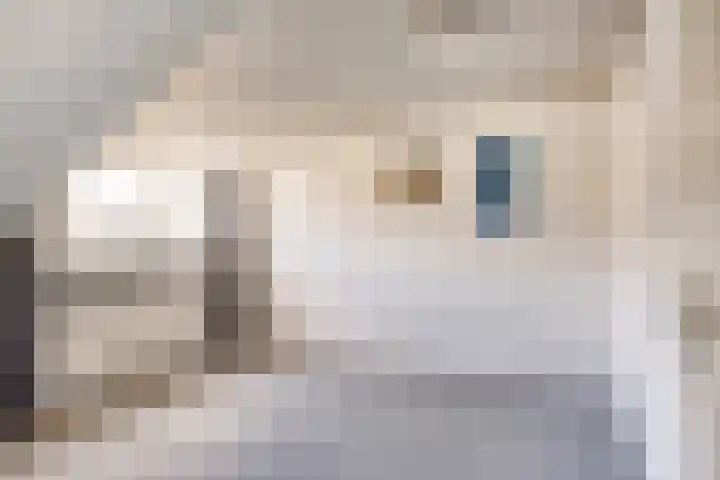 Burg. Dittersstraat 19 Beneden-Leeuwen thumbnail 27