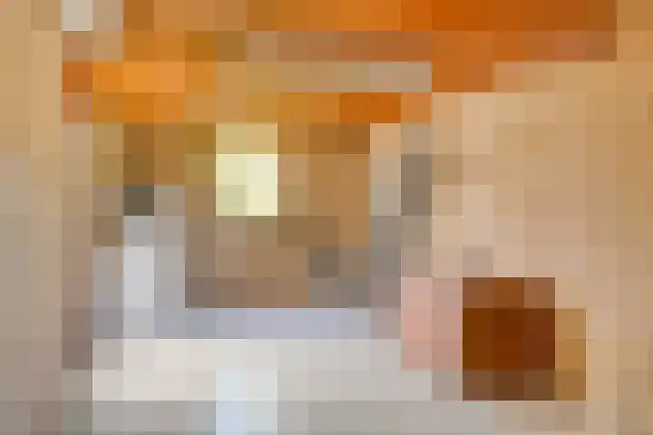 Burg. Dittersstraat 19 Beneden-Leeuwen thumbnail 32