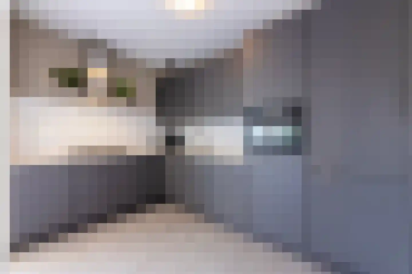 Burg. Dittersstraat 29 Beneden-Leeuwen thumbnail 20