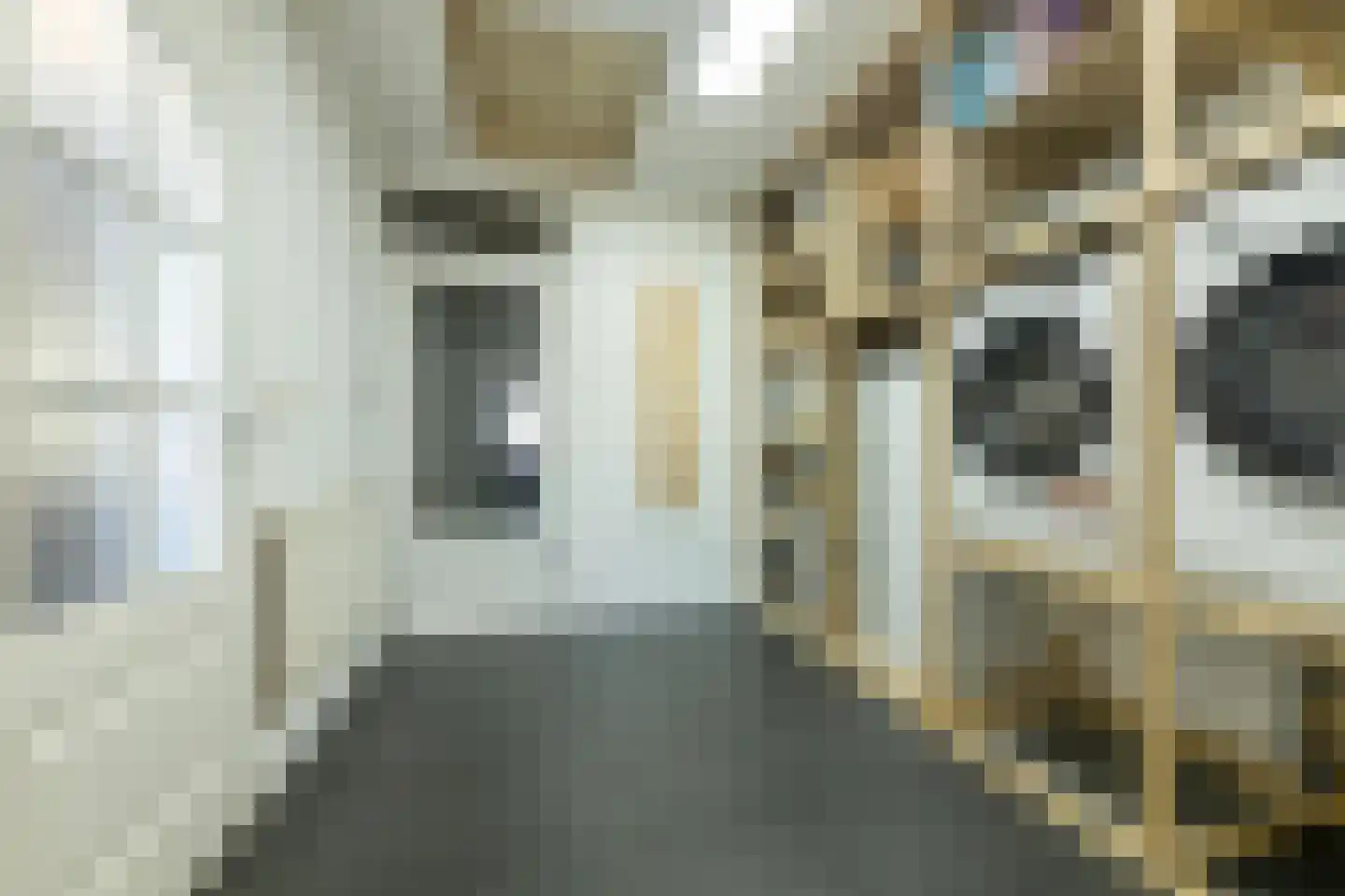 Burg. Dittersstraat 29 Beneden-Leeuwen thumbnail 26