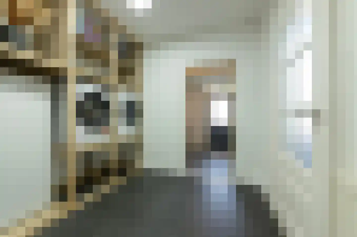 Burg. Dittersstraat 29 Beneden-Leeuwen thumbnail 30