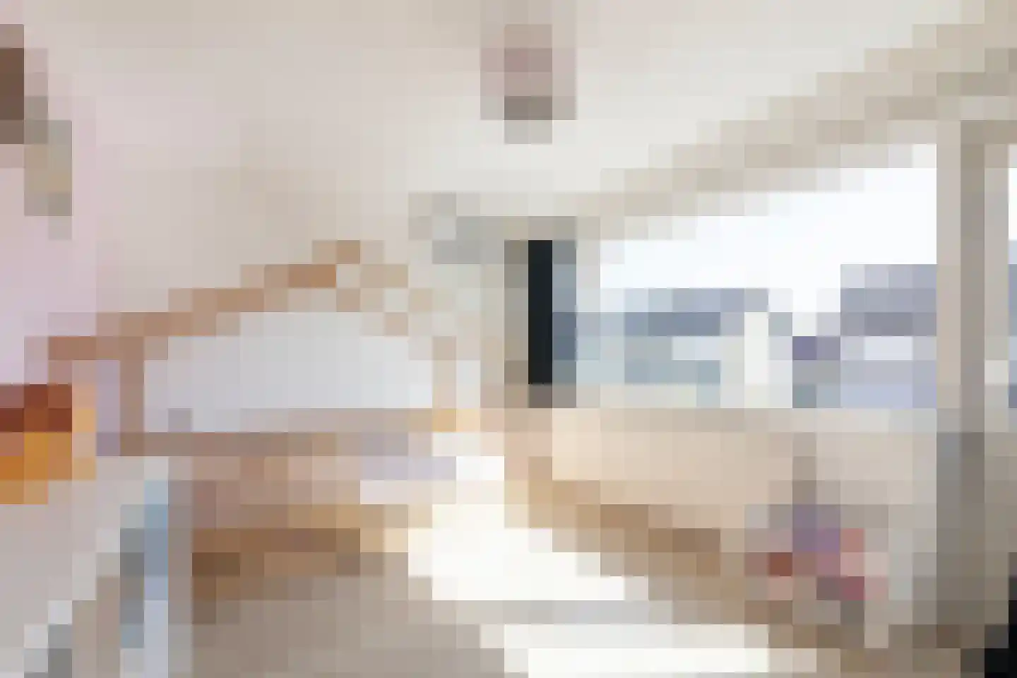 Burg. Dittersstraat 29 Beneden-Leeuwen thumbnail 37