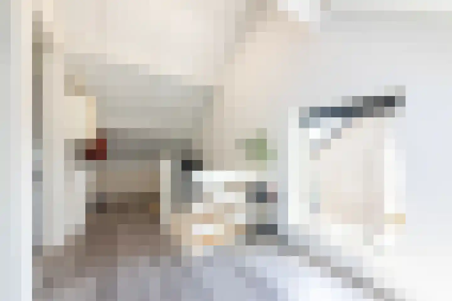 Burg. Dittersstraat 29 Beneden-Leeuwen thumbnail 44