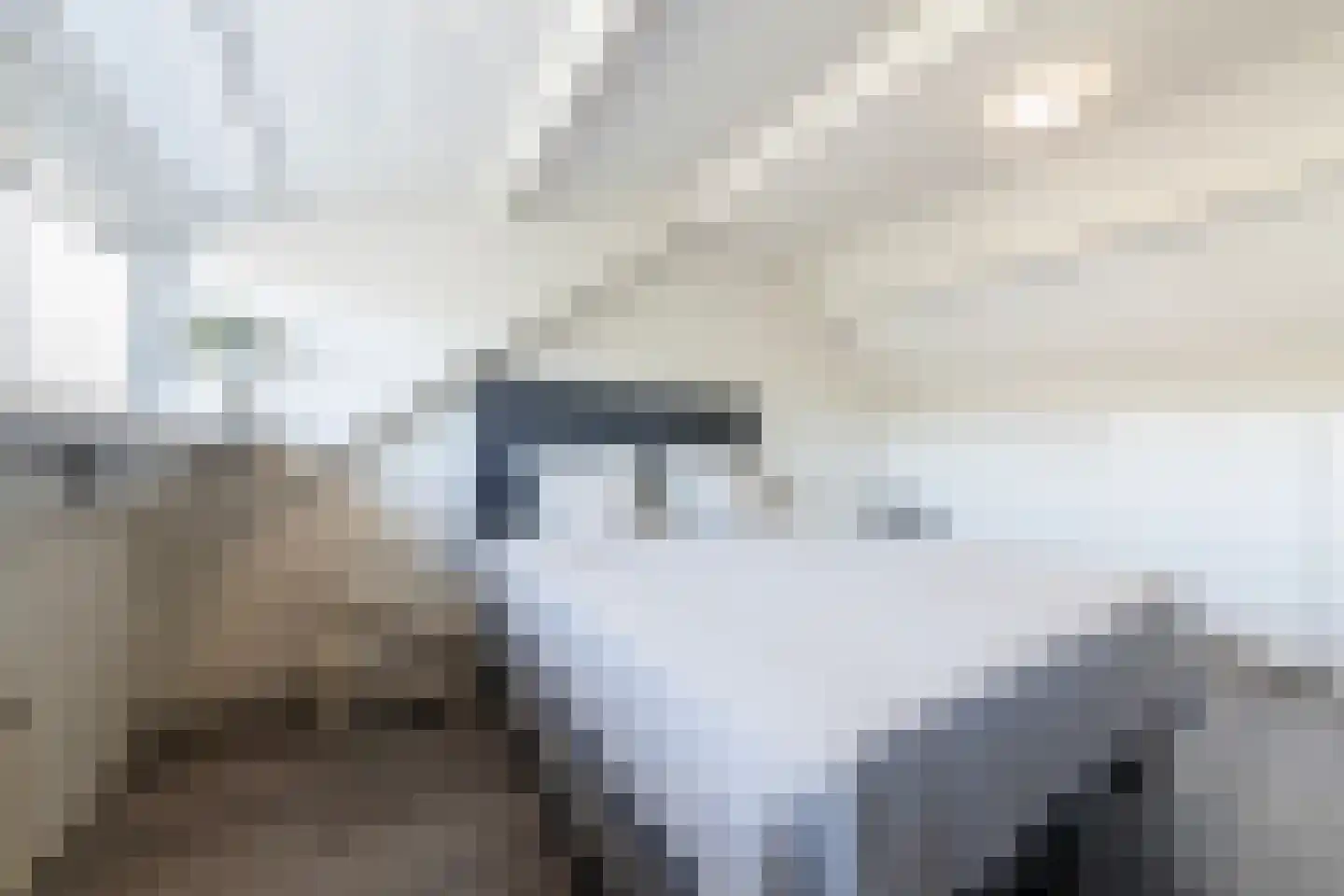 Burg. Dittersstraat 29 Beneden-Leeuwen thumbnail 47