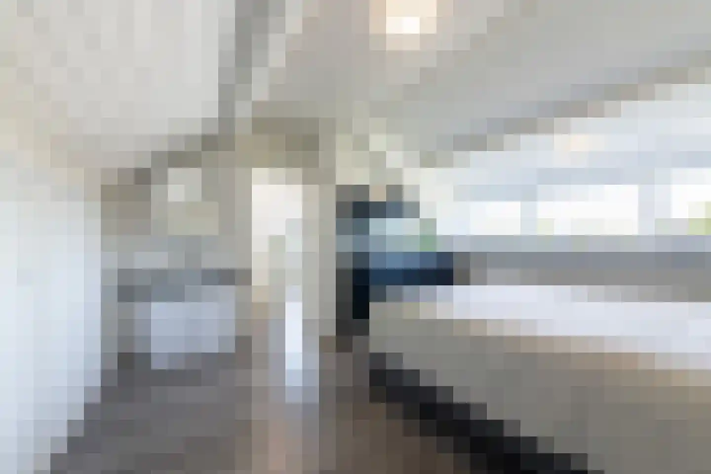 Burg. Dittersstraat 29 Beneden-Leeuwen thumbnail 48