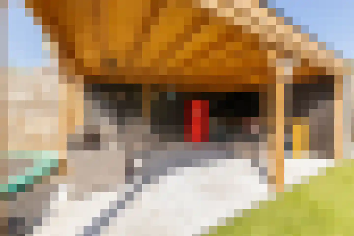 Burg. Dittersstraat 29 Beneden-Leeuwen thumbnail 59