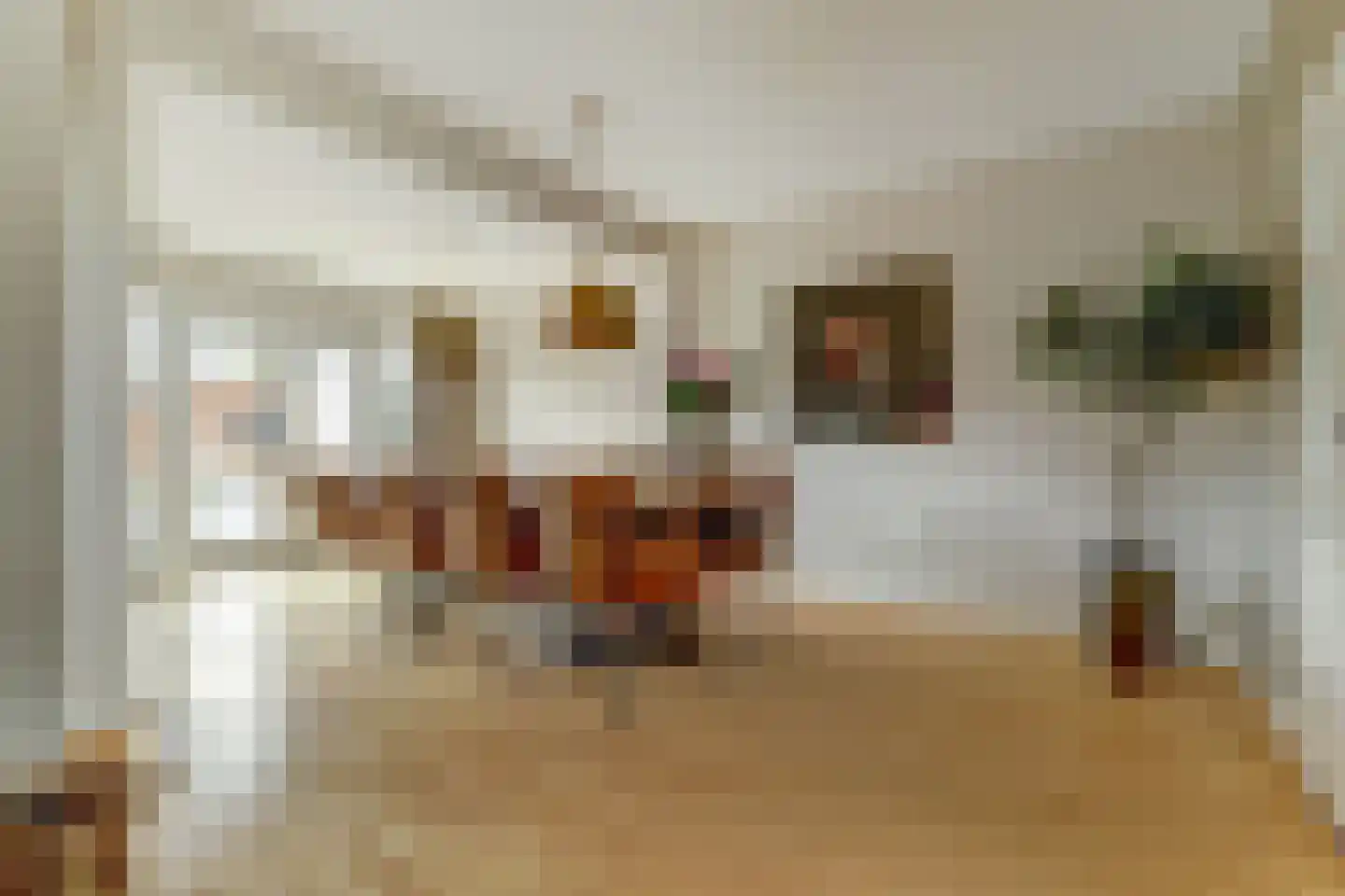 Burg. Dittersstraat 31 Beneden-Leeuwen thumbnail 10