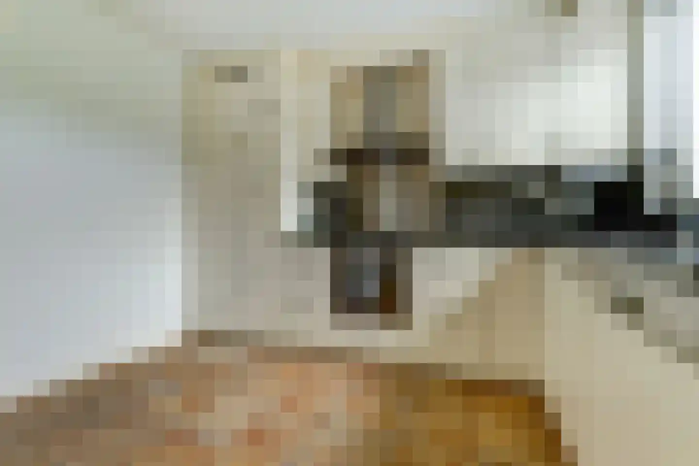Burg. Dittersstraat 31 Beneden-Leeuwen thumbnail 17