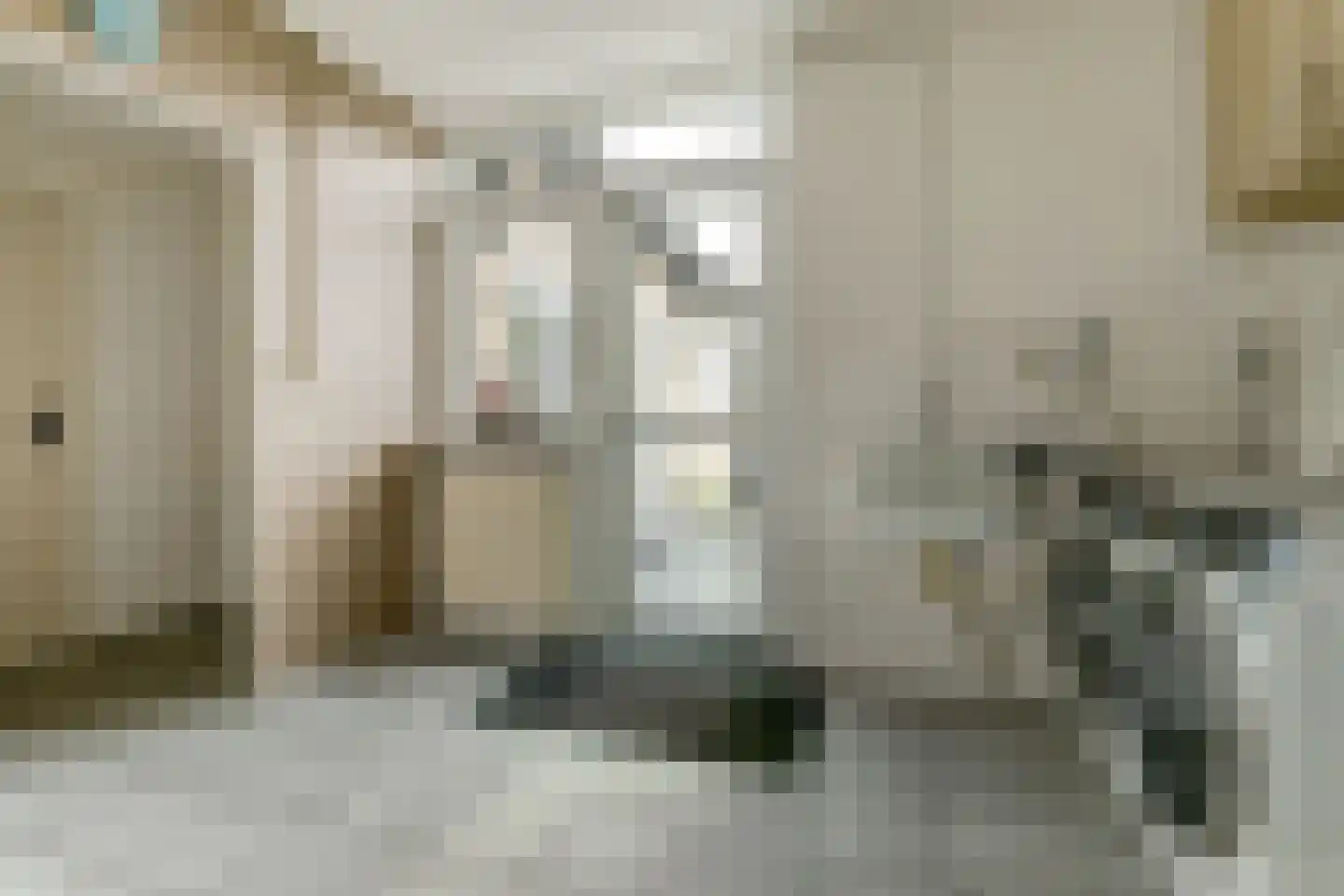 Burg. Dittersstraat 31 Beneden-Leeuwen thumbnail 21