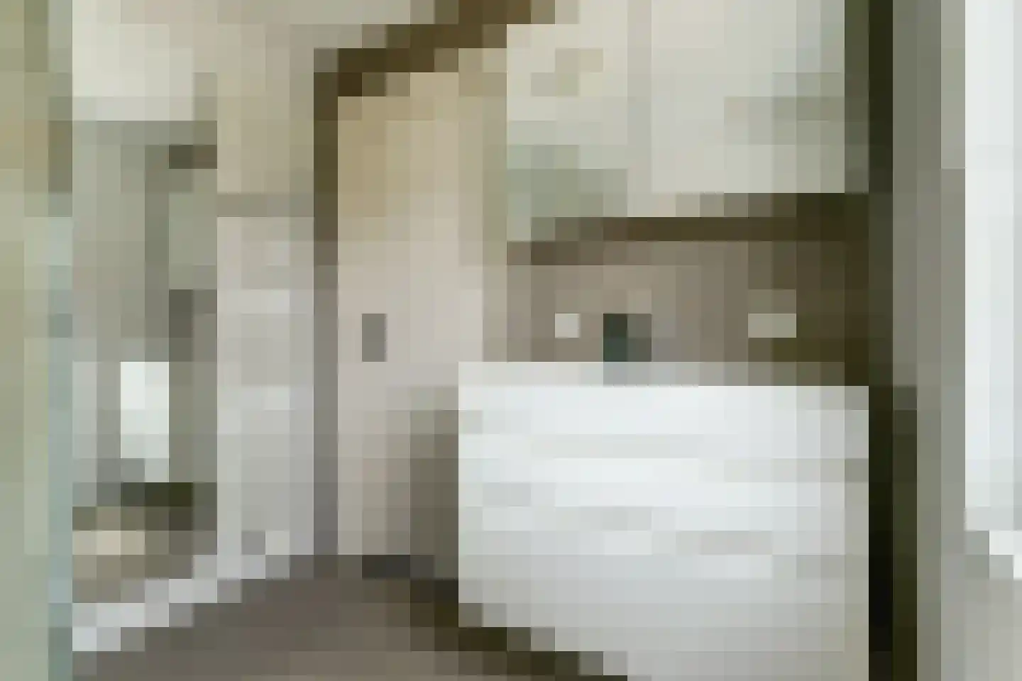 Burg. Dittersstraat 31 Beneden-Leeuwen thumbnail 32