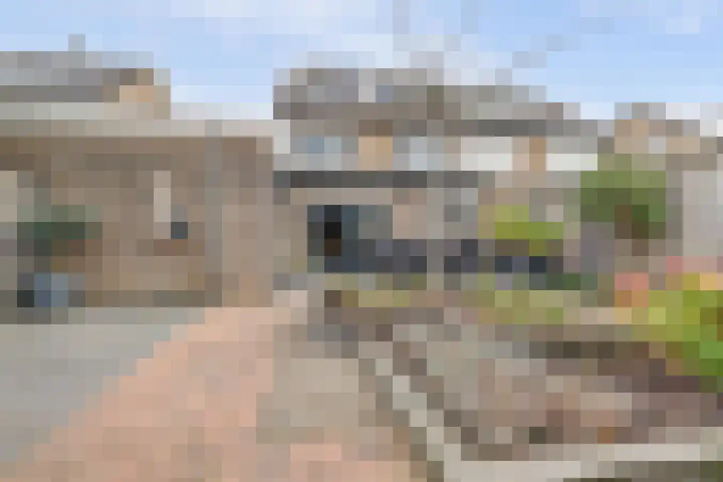 Burg. Dittersstraat 31 Beneden-Leeuwen thumbnail 39