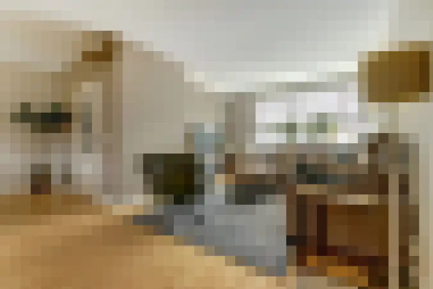 Burg. Dittersstraat 31 Beneden-Leeuwen thumbnail 4