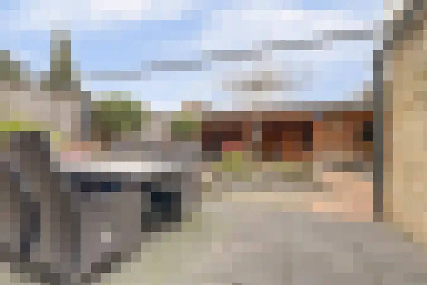 Burg. Dittersstraat 31 Beneden-Leeuwen thumbnail 40