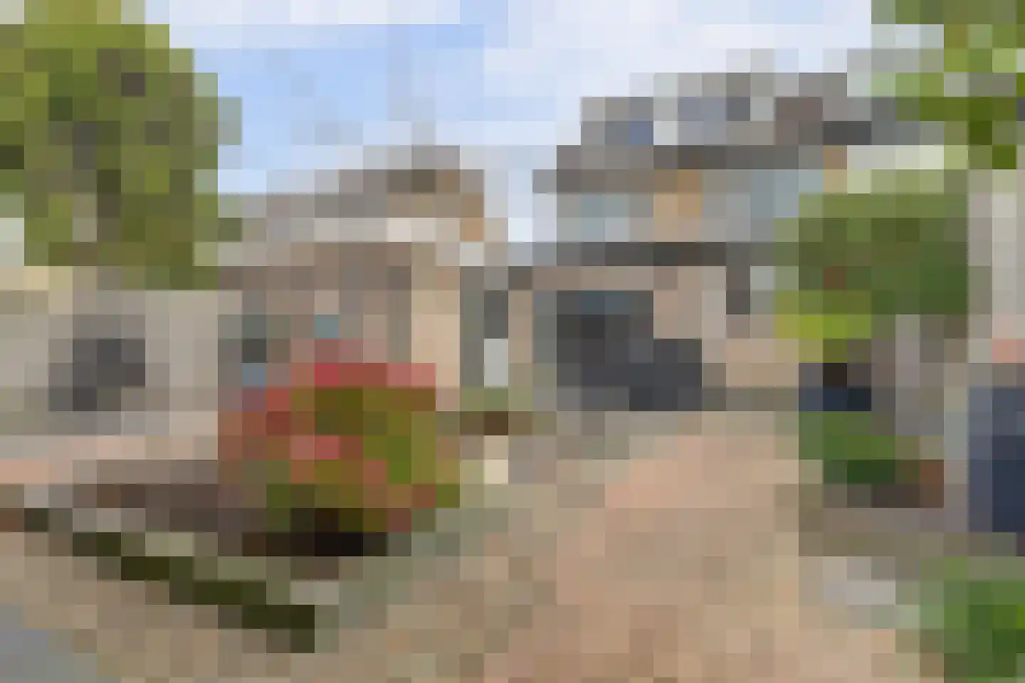 Burg. Dittersstraat 31 Beneden-Leeuwen thumbnail 41