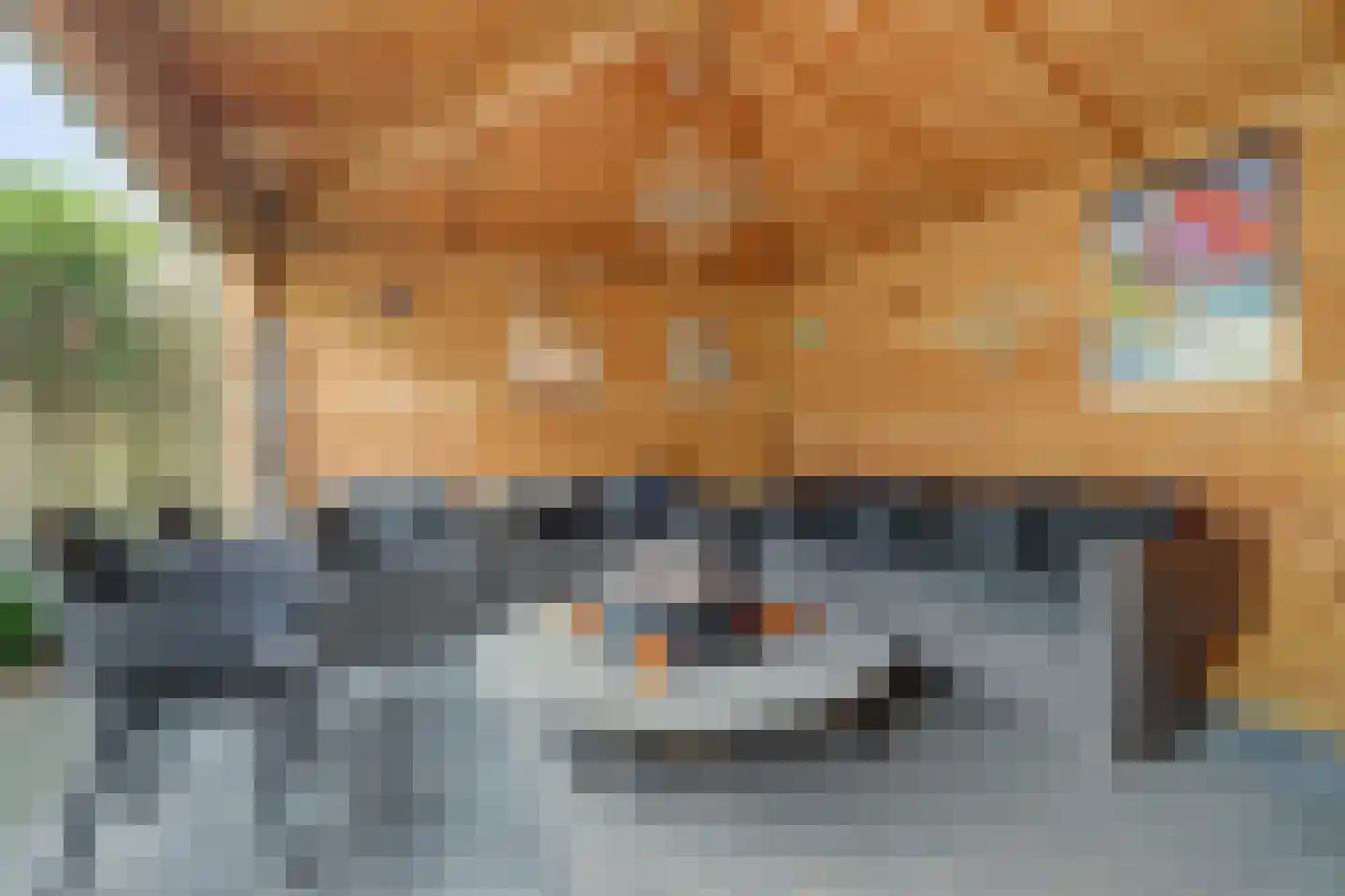 Burg. Dittersstraat 31 Beneden-Leeuwen thumbnail 45