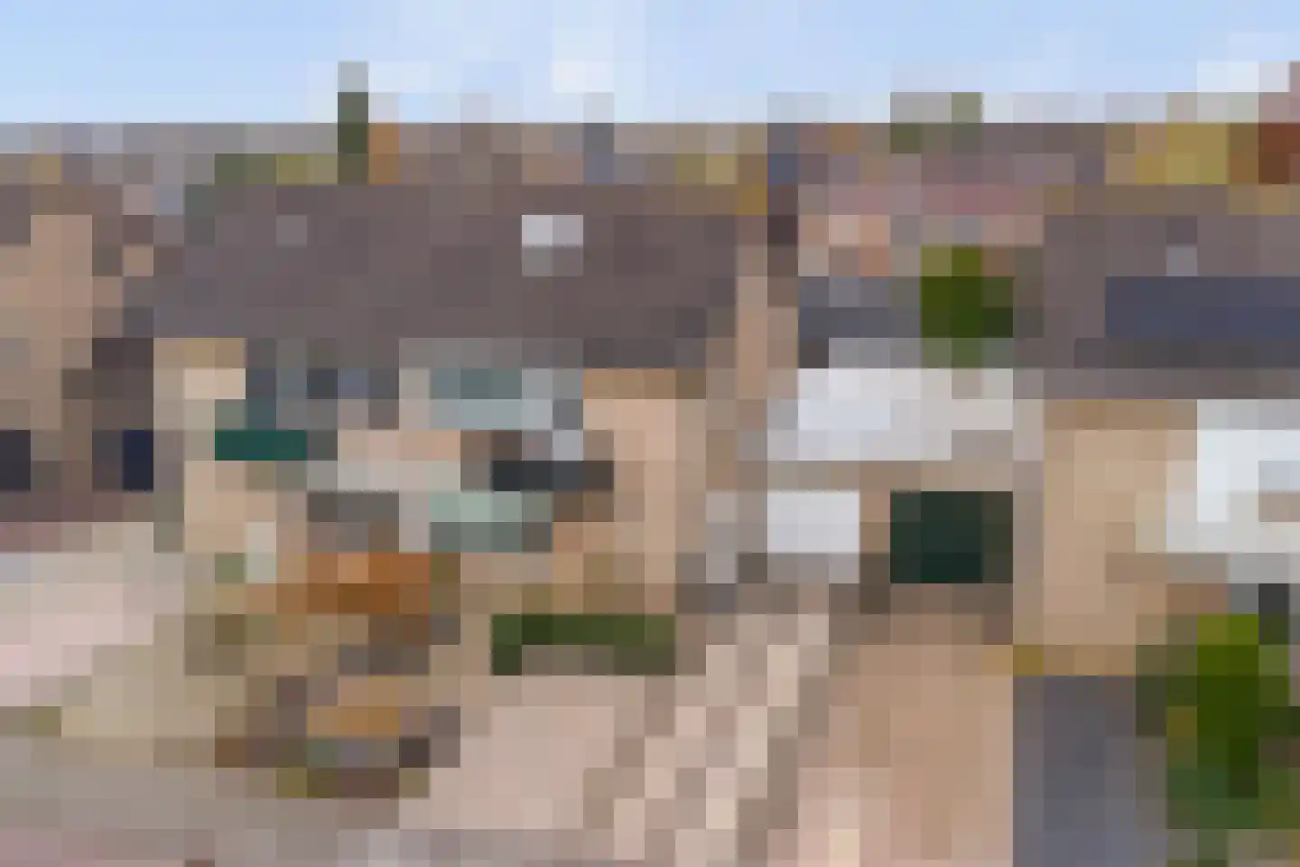 Burg. Dittersstraat 31 Beneden-Leeuwen thumbnail 48