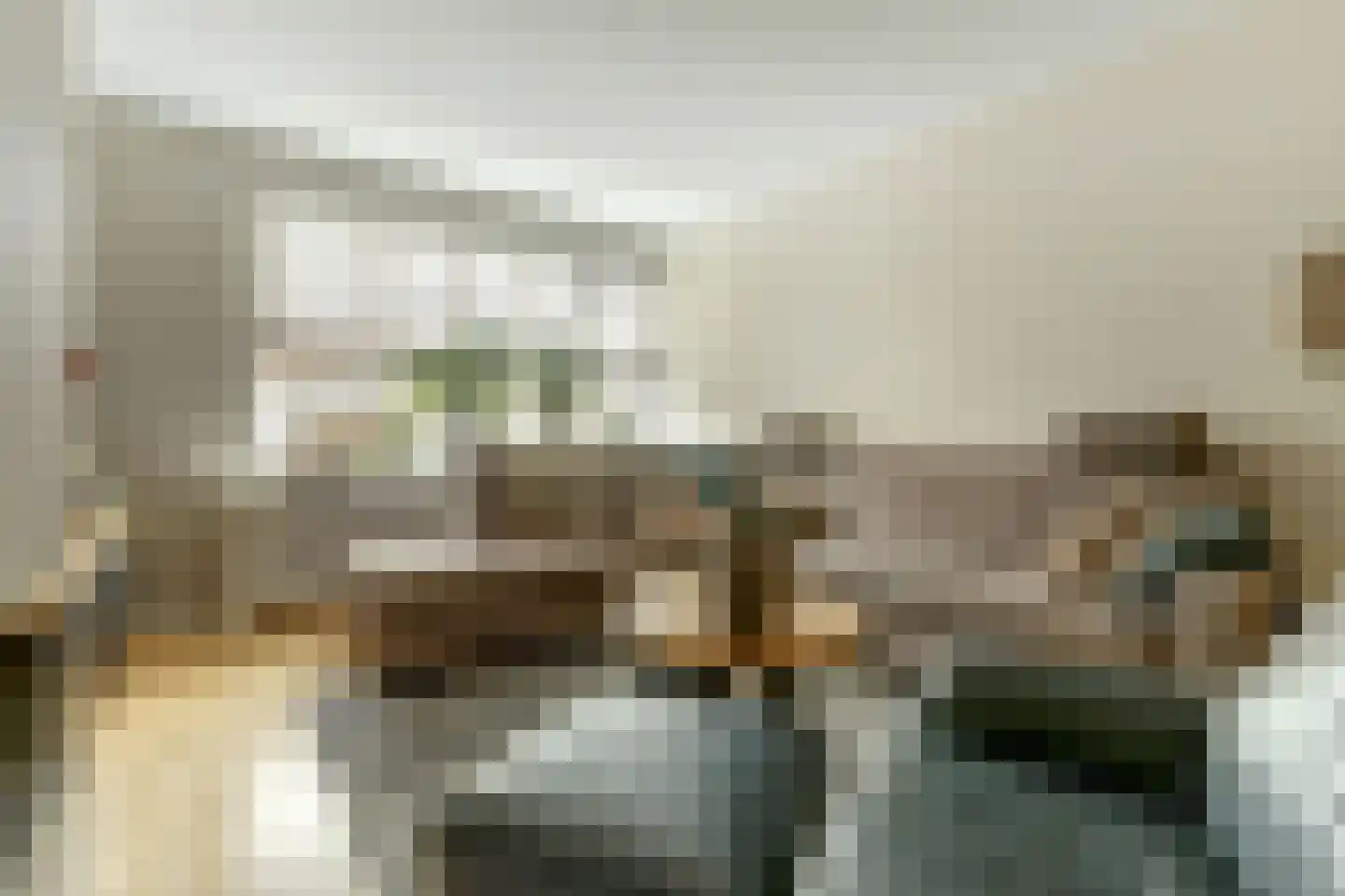 Burg. Dittersstraat 31 Beneden-Leeuwen thumbnail 5