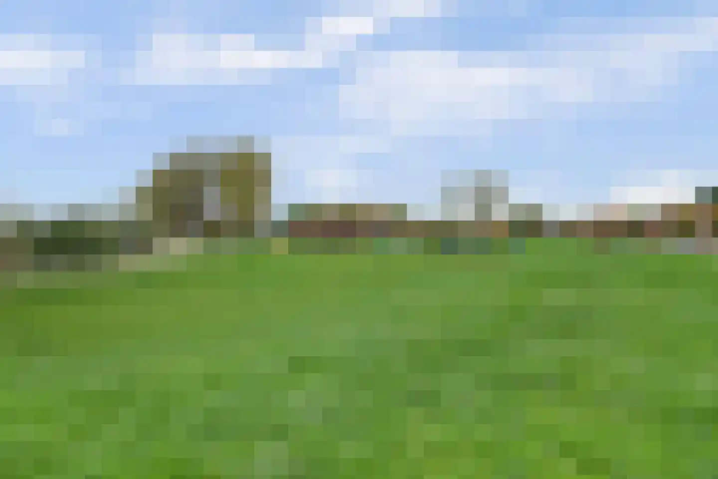 Burg. Dittersstraat 31 Beneden-Leeuwen thumbnail 54