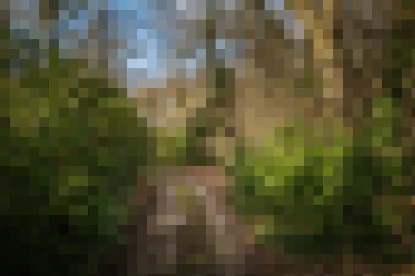 Burg. Doffegnieslaan 2 F 10 Diepenveen thumbnail 36