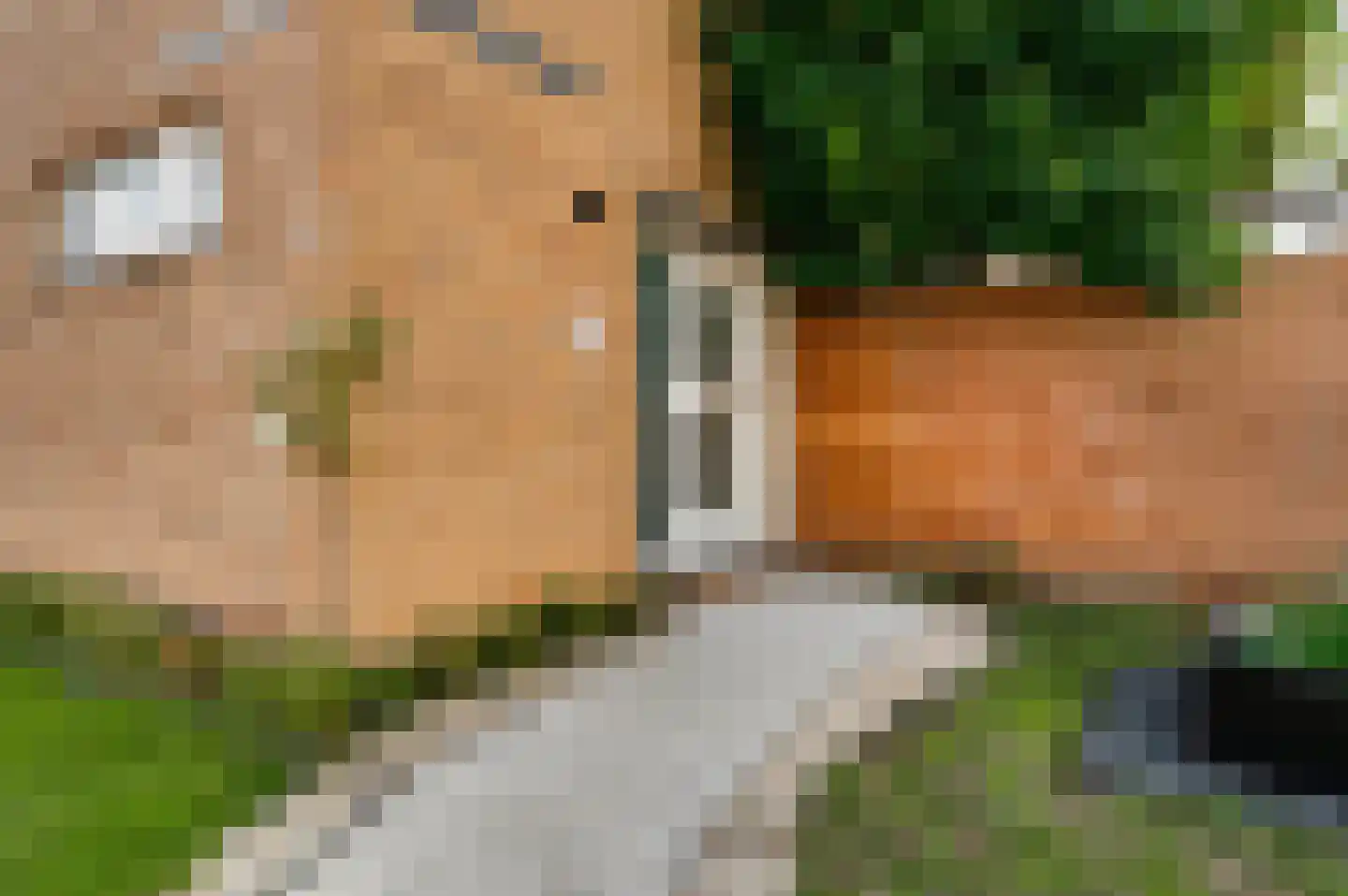 Burg. Donnersstraat 12 Munstergeleen thumbnail 33