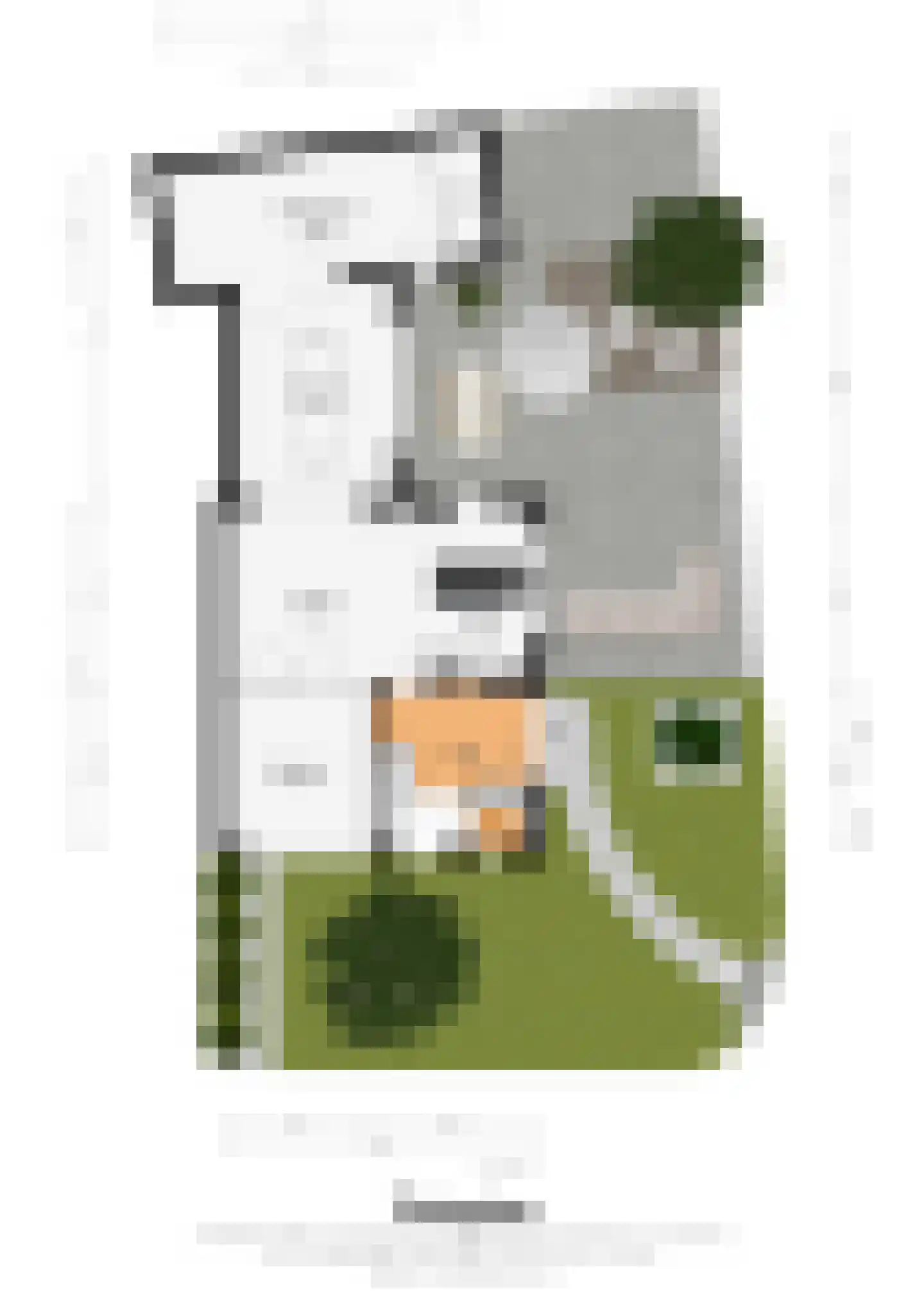Burg. Donnersstraat 12 Munstergeleen thumbnail 34