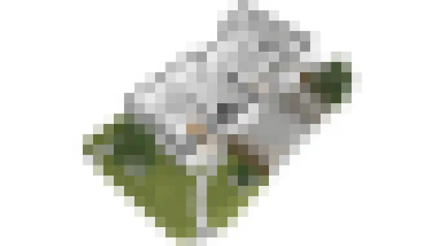 Burg. Donnersstraat 12 Munstergeleen thumbnail 35