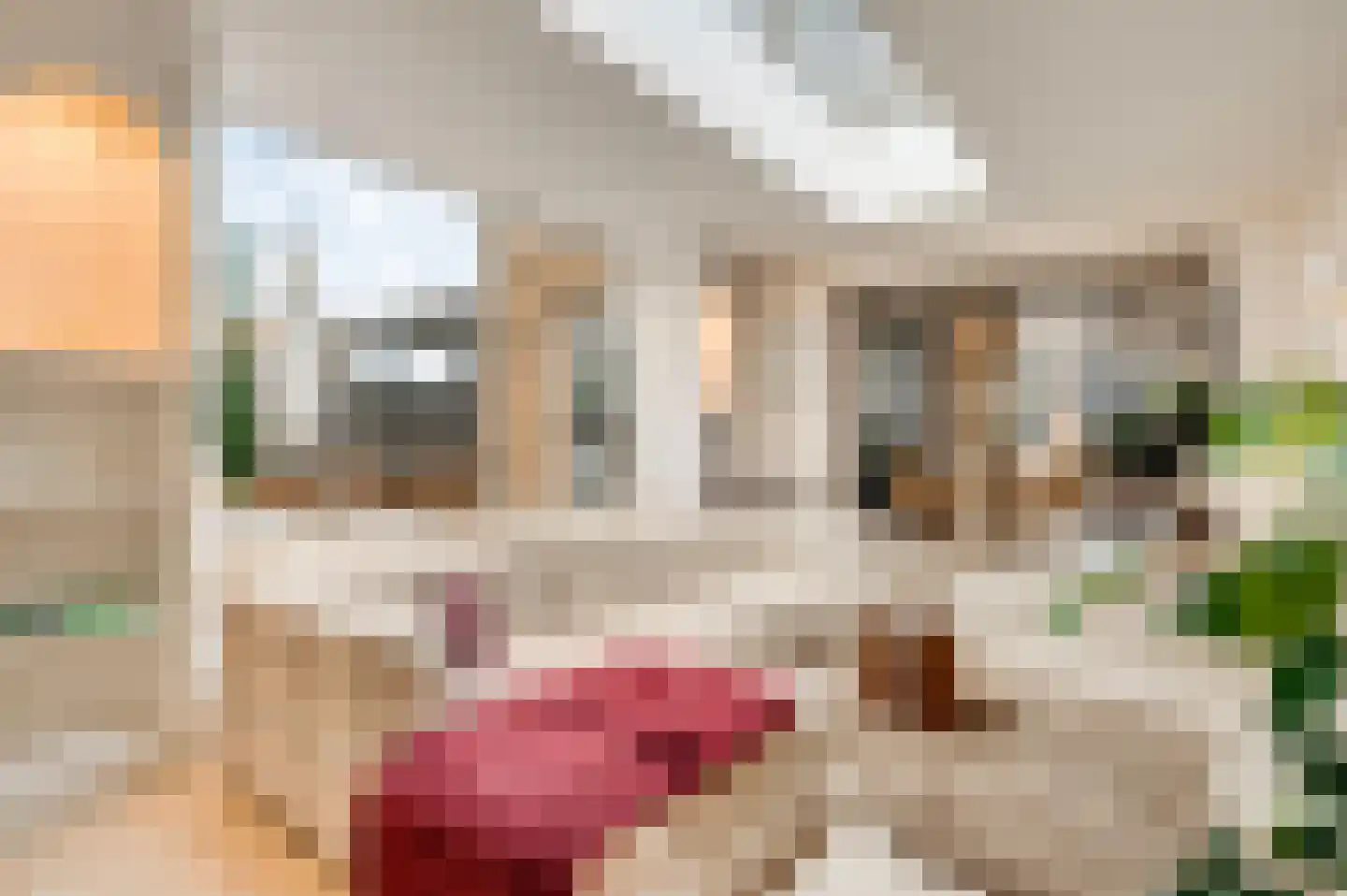 Burg. Donnersstraat 12 Munstergeleen thumbnail 7
