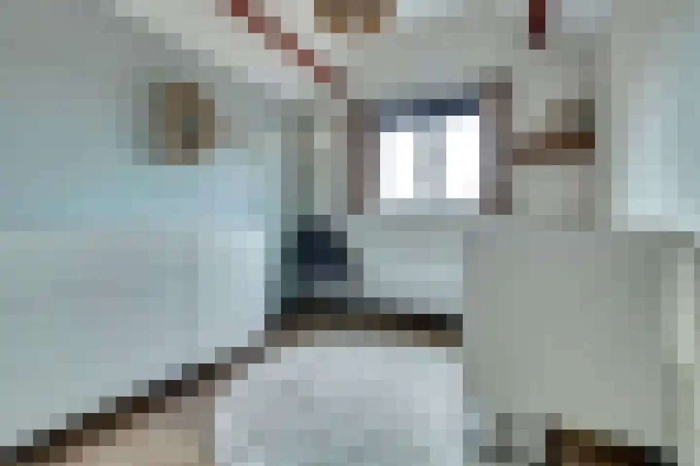 Burg Elenbaasstraat 12 Kruiningen thumbnail 27