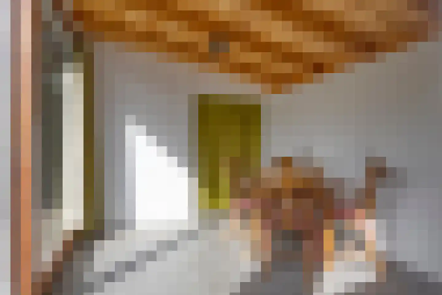 Burg. Eliënsstraat 3 Veghel thumbnail 31