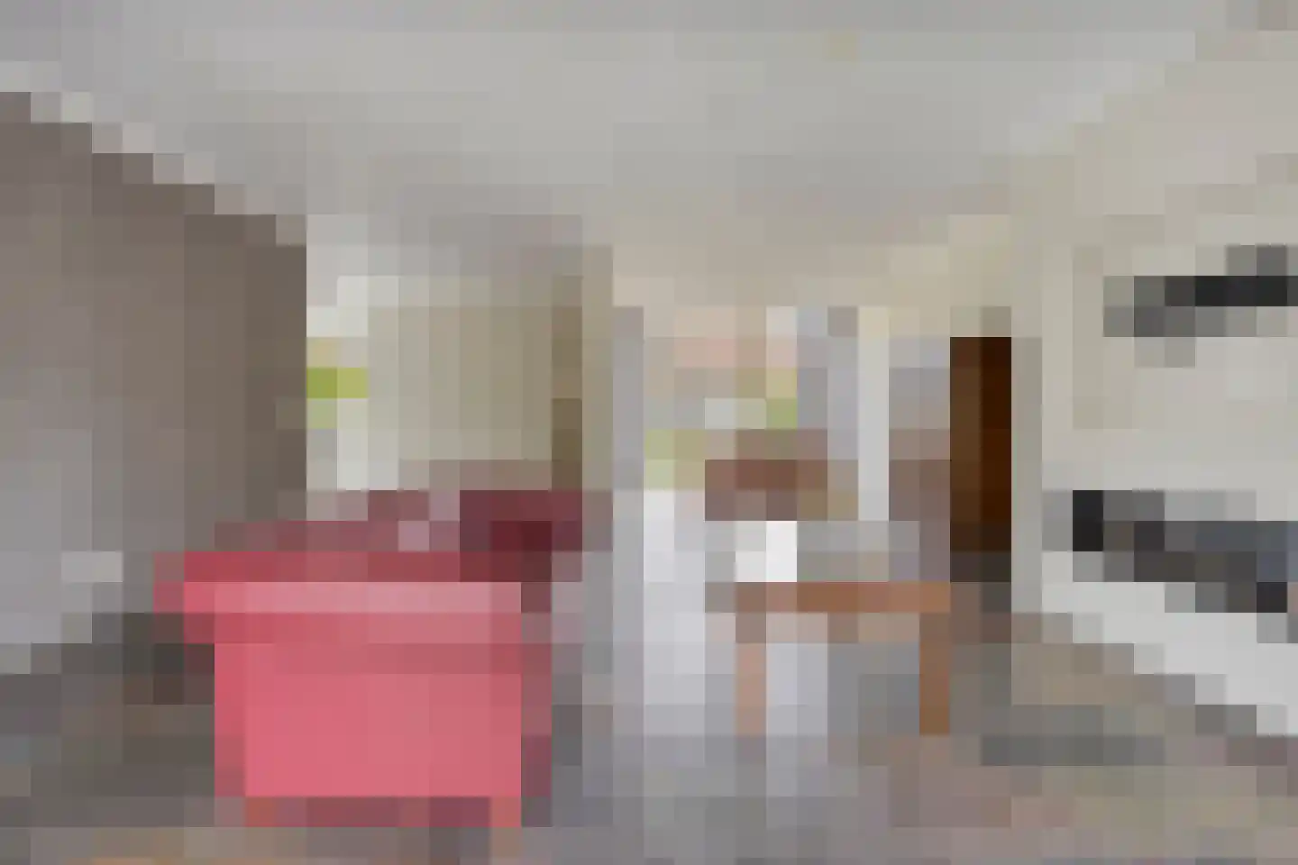 Burg. Eliënsstraat 3 Veghel thumbnail 5