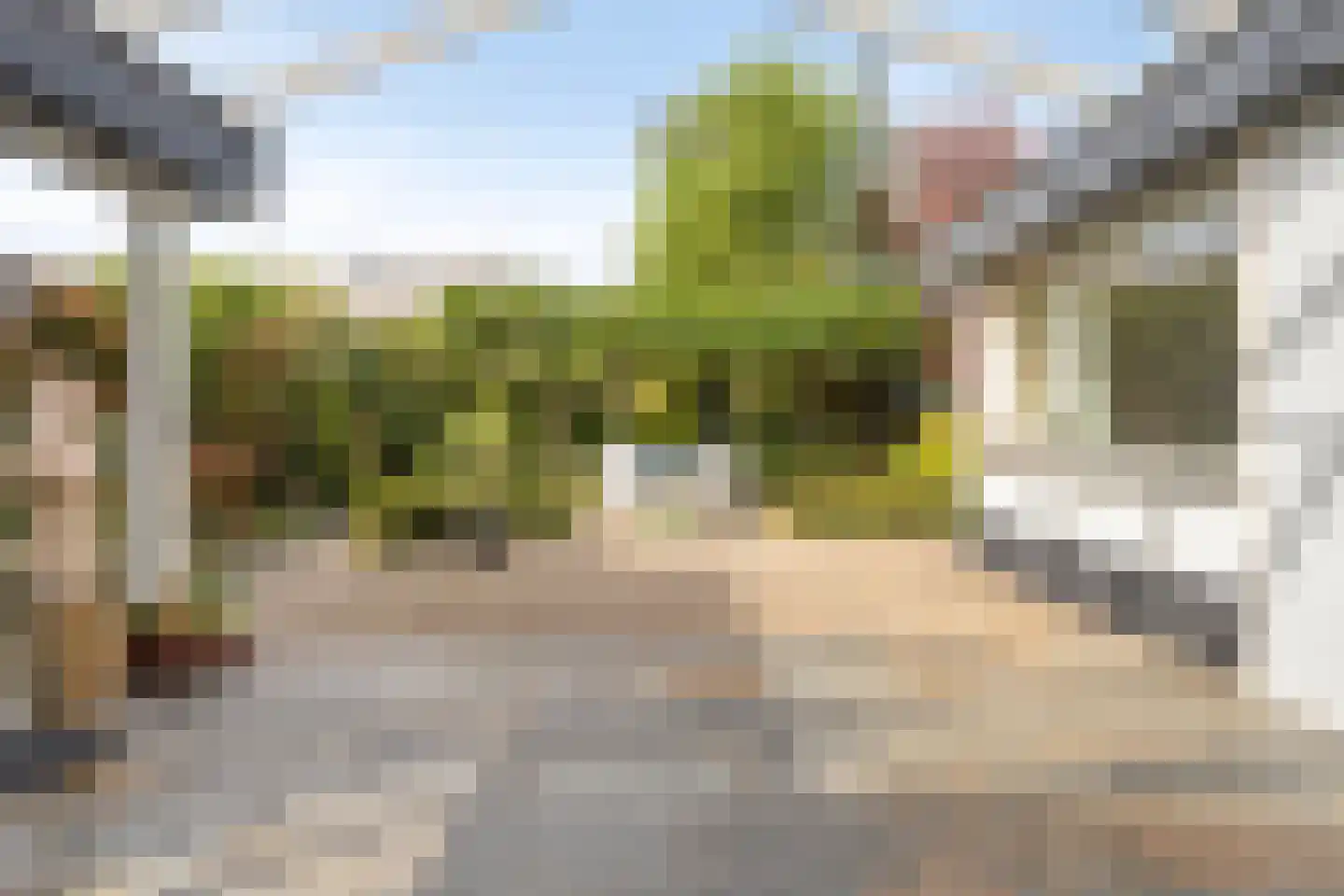 Burg. Eliënsstraat 3 Veghel thumbnail 50