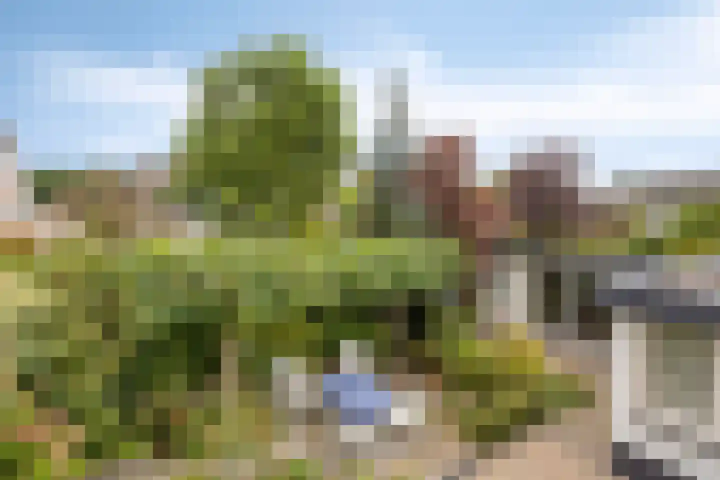 Burg. Eliënsstraat 3 Veghel thumbnail 59
