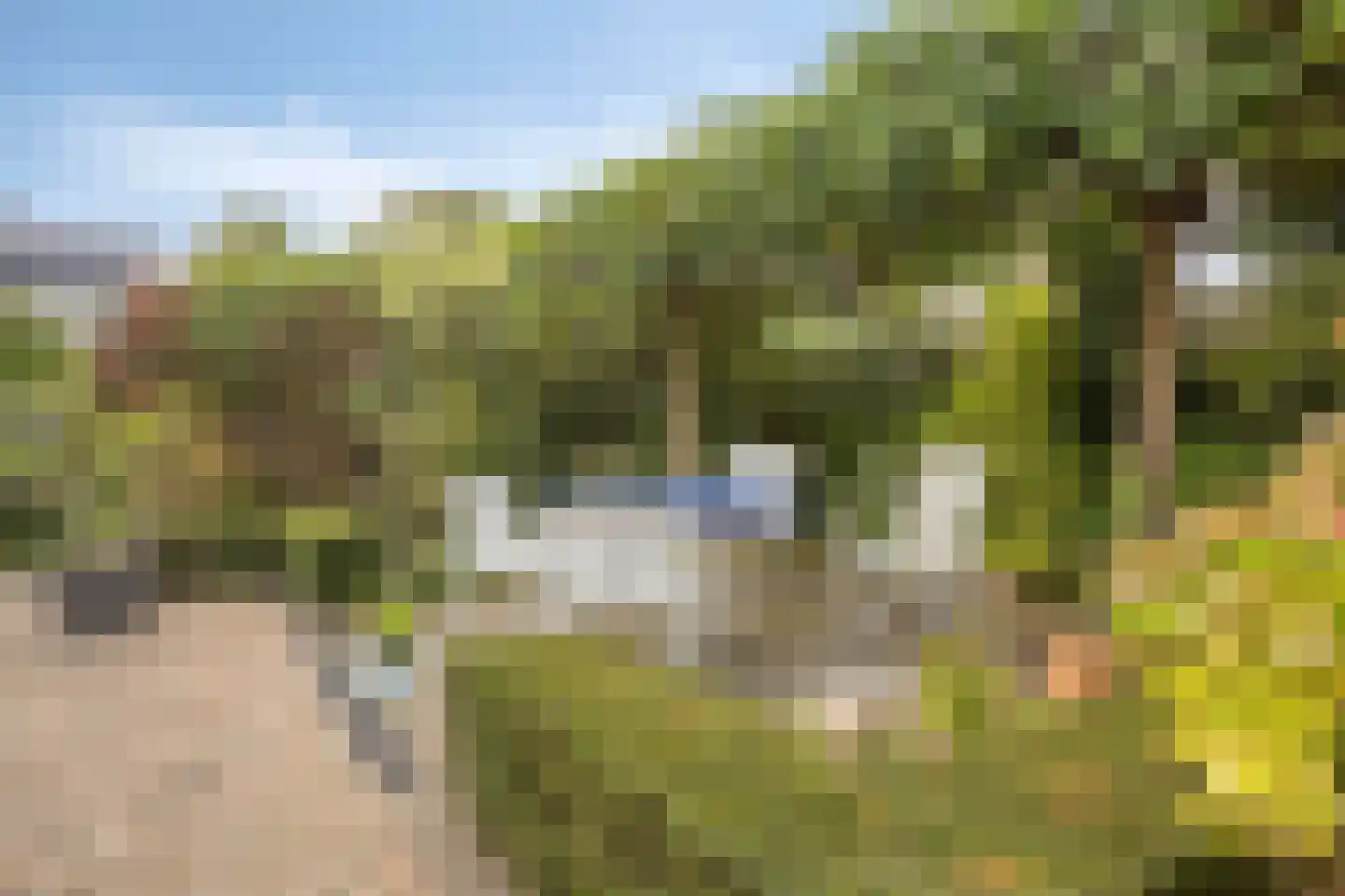 Burg. Eliënsstraat 3 Veghel thumbnail 7