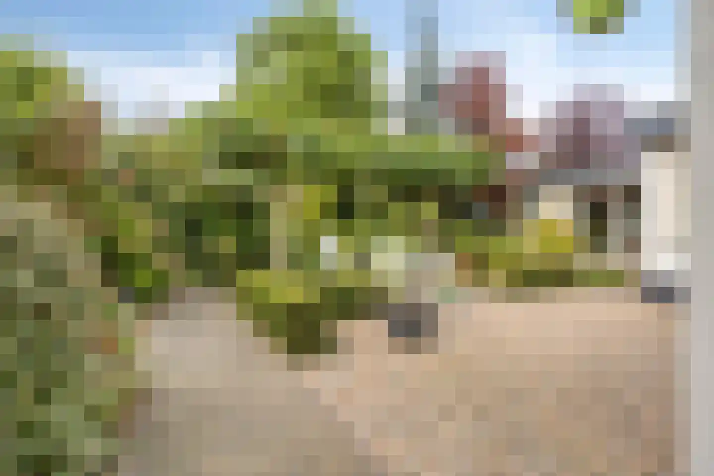 Burg. Eliënsstraat 3 Veghel thumbnail 8