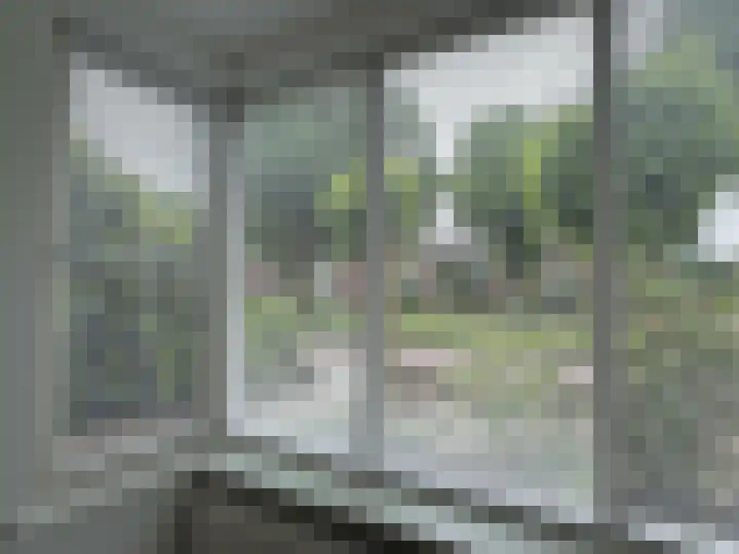 Burg Feithsingel 11 Coevorden thumbnail 18