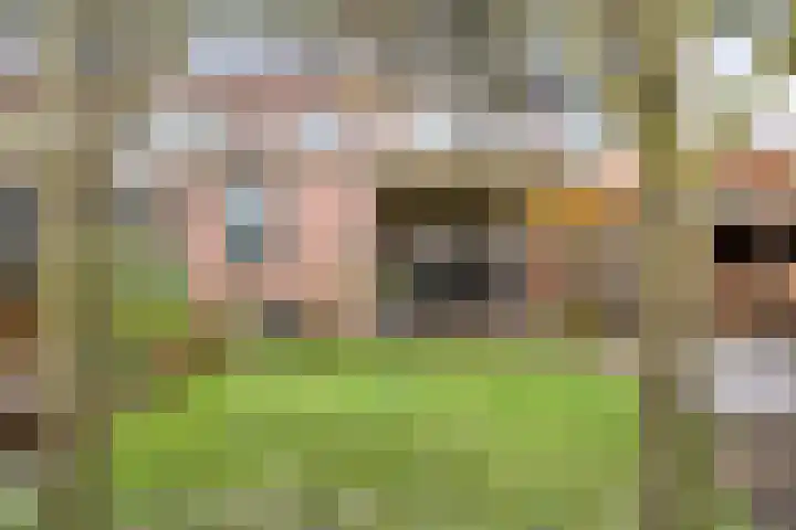 Burg Feithsingel 15 Coevorden thumbnail 4