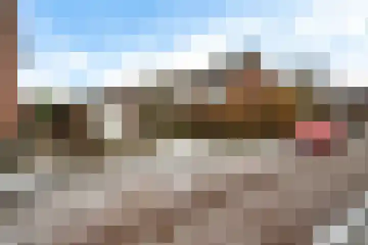 Burg Feithsingel 15 Coevorden thumbnail 48