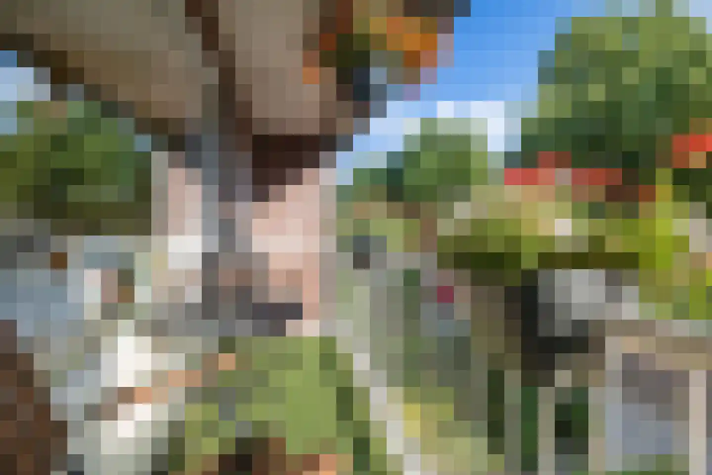 Burg Feithsingel 17 Coevorden thumbnail 27