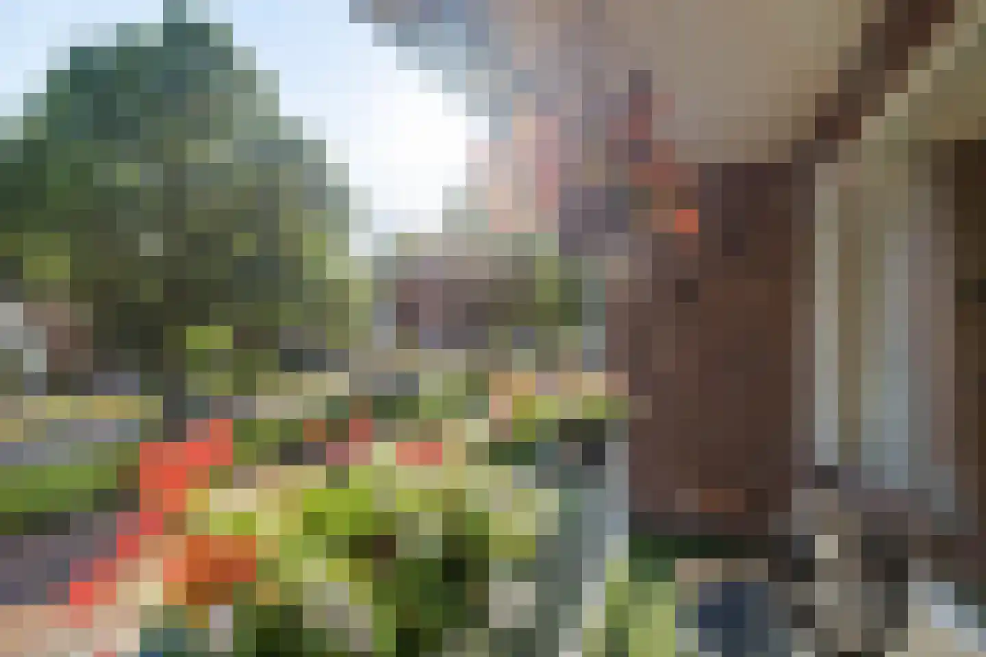 Burg Feithsingel 17 Coevorden thumbnail 28