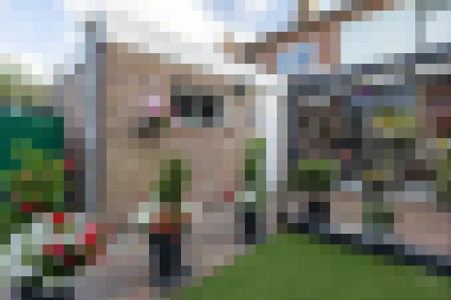 Burg Feithsingel 17 Coevorden thumbnail 35